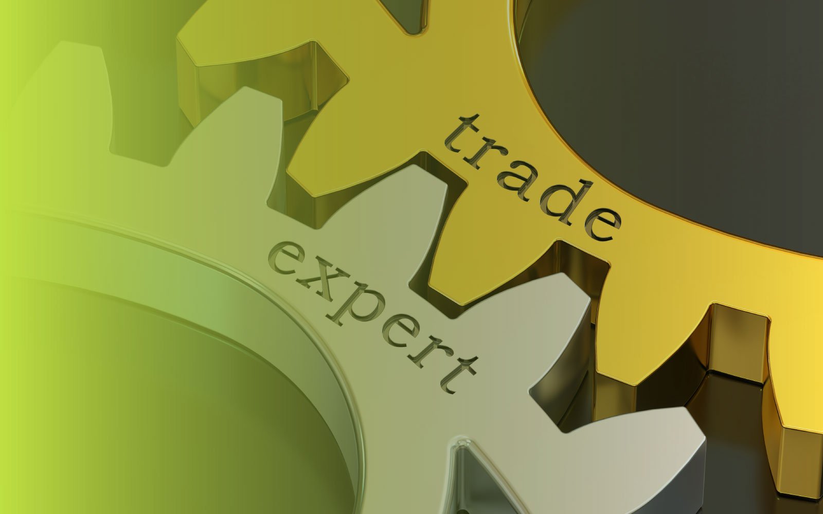 Trade Expert